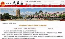 鹿泉最新爆料新闻头条号,揭秘重大事件背后的惊人真相！