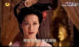 宫廷怨史手机在线观看,揭秘古代宫闱秘闻，手机在线观看尽享历史传奇