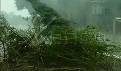 最新爆料台风视频播放