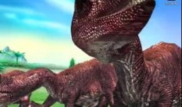 最新爆料异特龙视频大全,最新视频大全带你穿越史前世界