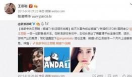 娱乐圈内幕爆料王思聪,娱乐圈内幕背后的真实人生