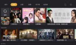 在线观看大全,海量影视资源一网打尽