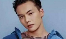 陈伟霆机枪爆料视频,揭秘娱乐圈幕后真相