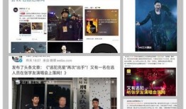 娱乐大爆料今日热搜最新,今日热搜揭秘，明星幕后故事大公开！