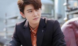 任嘉伦综艺最新爆料,揭秘明星私生活与演艺事业背后的故事