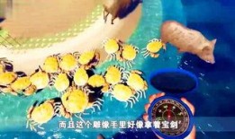 野兽1975在线观看,在线重温70年代经典电影的视觉盛宴