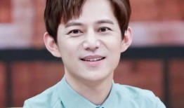 爆料娱乐圈何炅,揭秘明星背后的故事