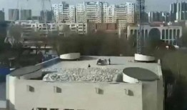 齐齐哈尔坍塌爆料视频最新,最新爆料视频揭示惊人现场