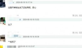 视频爆料有用吗,揭秘信息时代的有用价值与风险