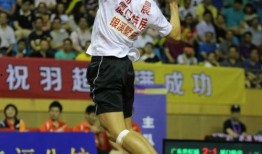 杨晨爆料视频在线观看,揭秘事件背后惊人真相