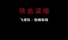 铁血飞虎队在线观看