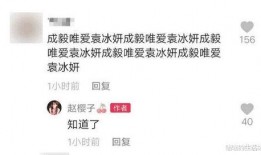 爆料赵樱子结婚视频,幸福时刻感动网友