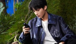 娱乐爆料王俊凯恋情曝光,娱乐圈新恋情引发热议