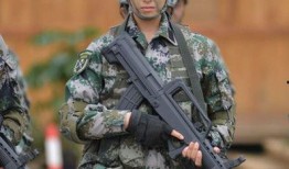 特种兵之火凤凰在线观看,热血铸就传奇，战火中的青春之歌