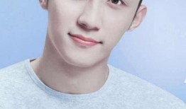 娱乐圈内幕爆料黄景瑜,娱乐圈背后的真相与争议