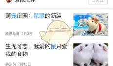 怎么爆料新闻公众号视频