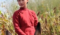 红高粱电视剧全集在线观看,激情燃烧的岁月，热血沸腾的传奇