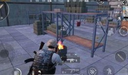 刺激战场学生爆料视频