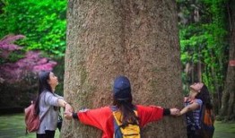 刘二妮徒步爆料视频大全,揭秘徒步旅行中的精彩瞬间与感人故事