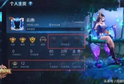 王者雪包最新爆料图片,冬日冰雪主题，神秘英雄即将登场