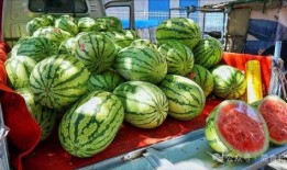 荷兰网红吃瓜事件真相是真的吗,真相揭秘，是真是假？