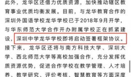 龙华网友最新爆料,揭秘背后惊人真相！