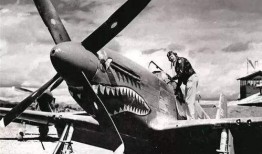 铁血飞虎队在线观看