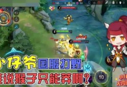 王者荣耀小仔爷爆料视频,揭秘游戏幕后精彩瞬间