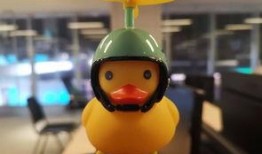 娱乐爆料小黄鸭是真的吗,娱乐爆料是否属实？