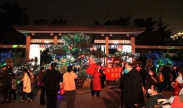 郑州碧沙岗最新爆料新闻,揭秘背后真相