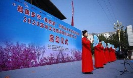 郑州碧沙岗最新爆料新闻,揭秘背后真相