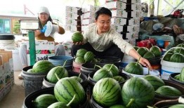 文安县网红吃瓜事件,揭秘网络舆论背后的真相