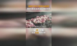 淄博烧烤爆料事件视频曝光,一场美食与争议的碰撞