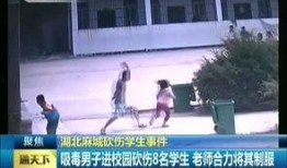 湖北学校学生爆料视频曝光,揭秘校园内幕
