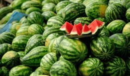 荷兰网红吃瓜事件真相是真的吗,真相揭秘，是真是假？