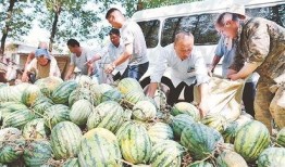 文安县网红吃瓜事件,揭秘网络舆论背后的真相