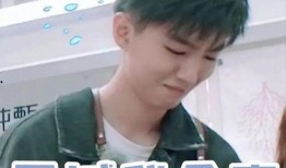 娱乐爆料王俊凯恋情曝光,娱乐圈新恋情引发热议