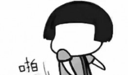 小熊威龙爆料了吗视频,揭秘幕后故事与精彩瞬间