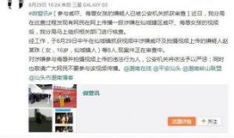 八村最新爆料视频大全集,揭秘幕后故事与精彩瞬间