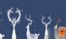 祥瑞逆水寒最新爆料,祥瑞爆料揭秘，新剧情走向引玩家热议