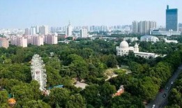 郑州碧沙岗最新爆料新闻,揭秘背后真相