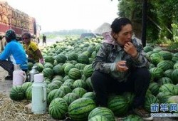 文安县网红吃瓜事件,揭秘网络舆论背后的真相