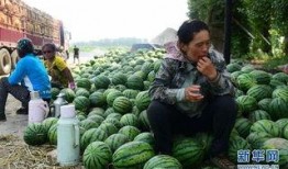 文安县网红吃瓜事件,揭秘网络舆论背后的真相