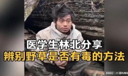 草毒在线观看,揭秘网络毒品的隐秘世界