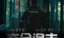 致命追击在线观看,生死逃亡，惊心动魄的生死较量