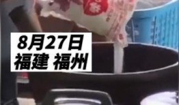 美食网友爆料视频大全集,网友爆料视频大全集精彩回顾