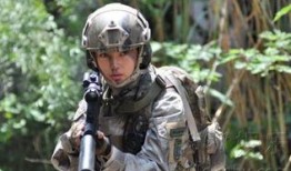 特种兵之火凤凰在线观看,热血铸就传奇，战火中的青春之歌