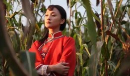 高粱红了在线观看,红色记忆的传承与再现