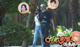 三大狗仔爆料视频播放,三大热门视频幕后真相大曝光