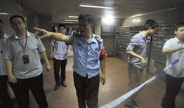 爆料电梯视频大全集,爆料视频大全集深度解析